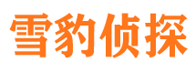 斗门市私家侦探公司